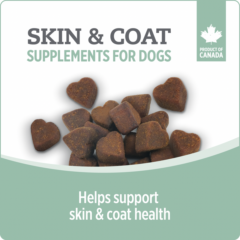 Dog Supplement - CARE - Skin & Coat - 100 chews