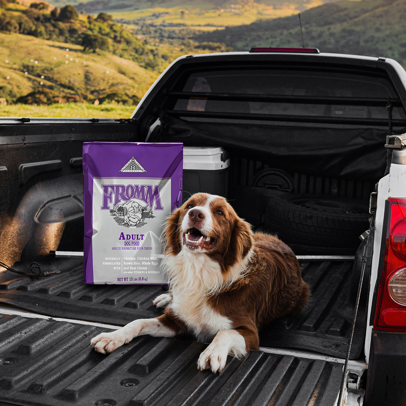 Dry Dog Food - CLASSIC - Adult