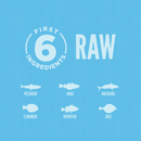 猫干粮 - 六种鱼