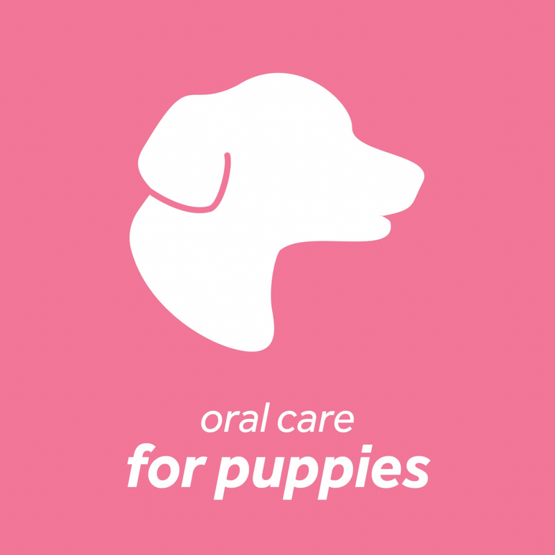 Dog Dental Health - FRESH BREATH - Oral Care Kit - Puppy