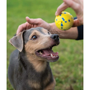 Dog Toy - NITRO - Ultra Durable Ball