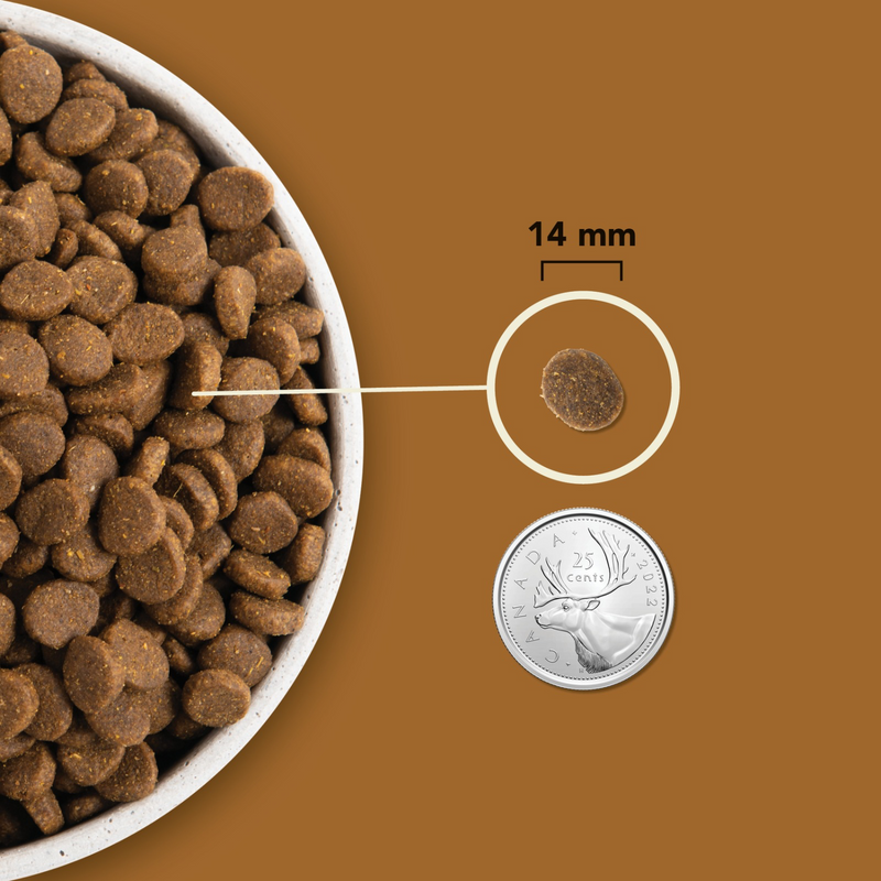 Dry Dog Food - HIGHEST PROTEIN - Ranchlands Recipe