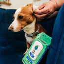 洁耳湿巾 - 25抽