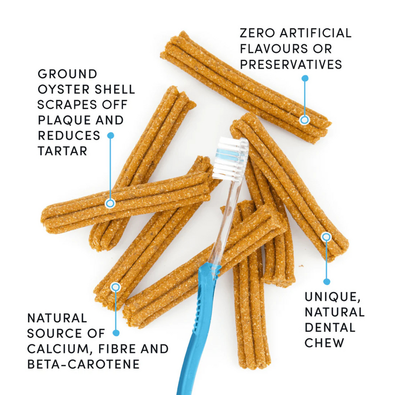 纯天然狗狗零食 - 刷牙棒 - 南瓜肉桂 - 7英寸10根装