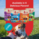 Air Dried Dog Treat - THINKERS - Salmon Meat Stick