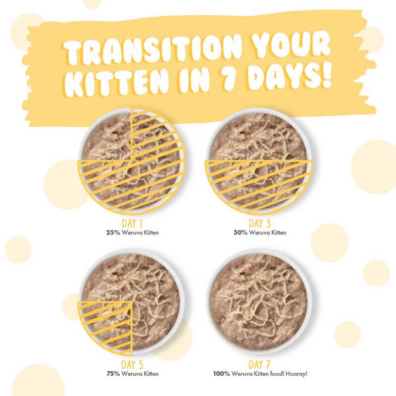 Nourriture pour chats en conserve - chaton - Formule de poulet au jus - 3 oz