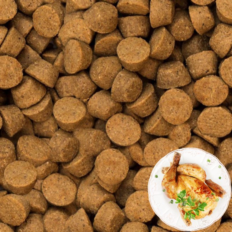 Dry Dog Food - Chicken - Puppy