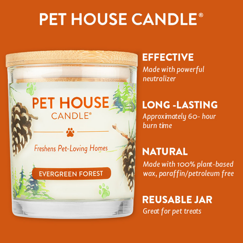 Pet House - Bougie de cire de soja 100% naturelle - Forêt à feuilles persistantes - Grande 8,5 oz