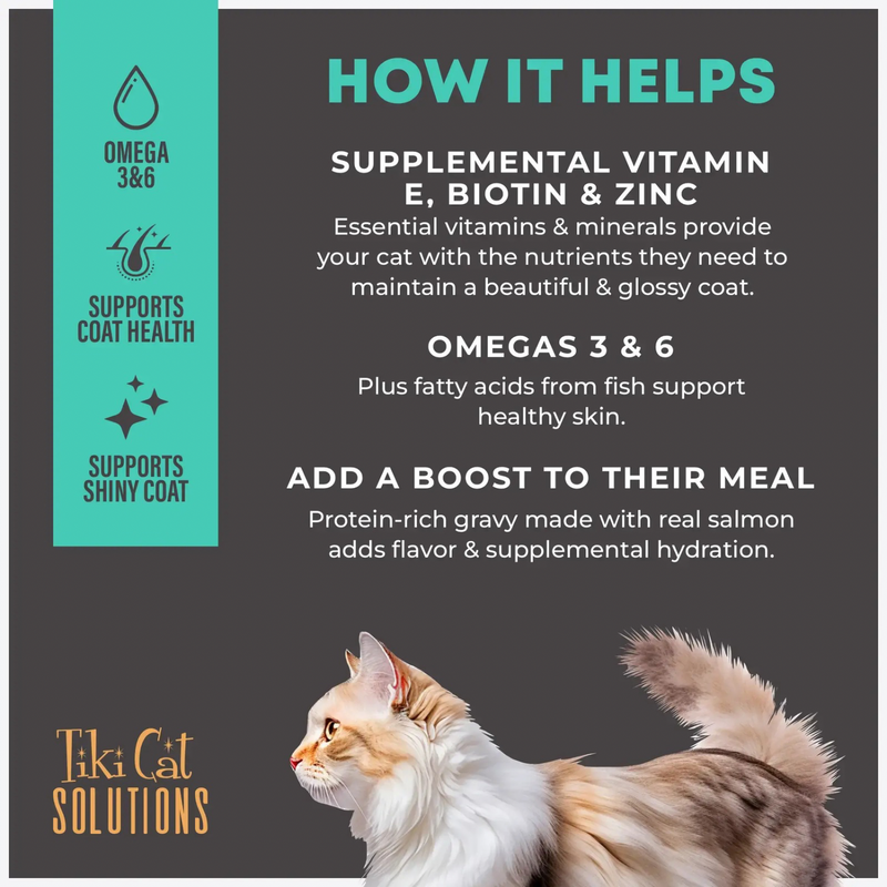 Wet Cat Food Topper - SOLUTIONS - Skin + Coat - Salmon Recipe in Broth