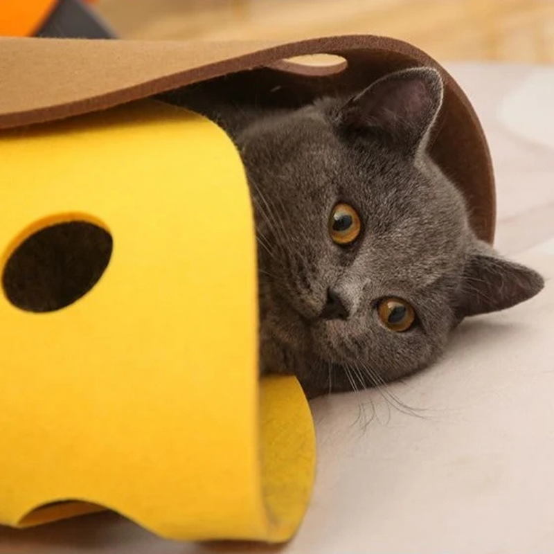 Cheese Cat Tunnel - Kittens Hideaway Platform with Holes