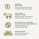 Natural Dog Treat - Freeze Dried Beef Liver Mini Trainers