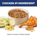 Dry Cat Food, Indoor ADULT 1-6, Chicken Recipe
