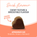 狗狗保健品 - CARE 系列 - 益生菌配方 - 100粒咀嚼片