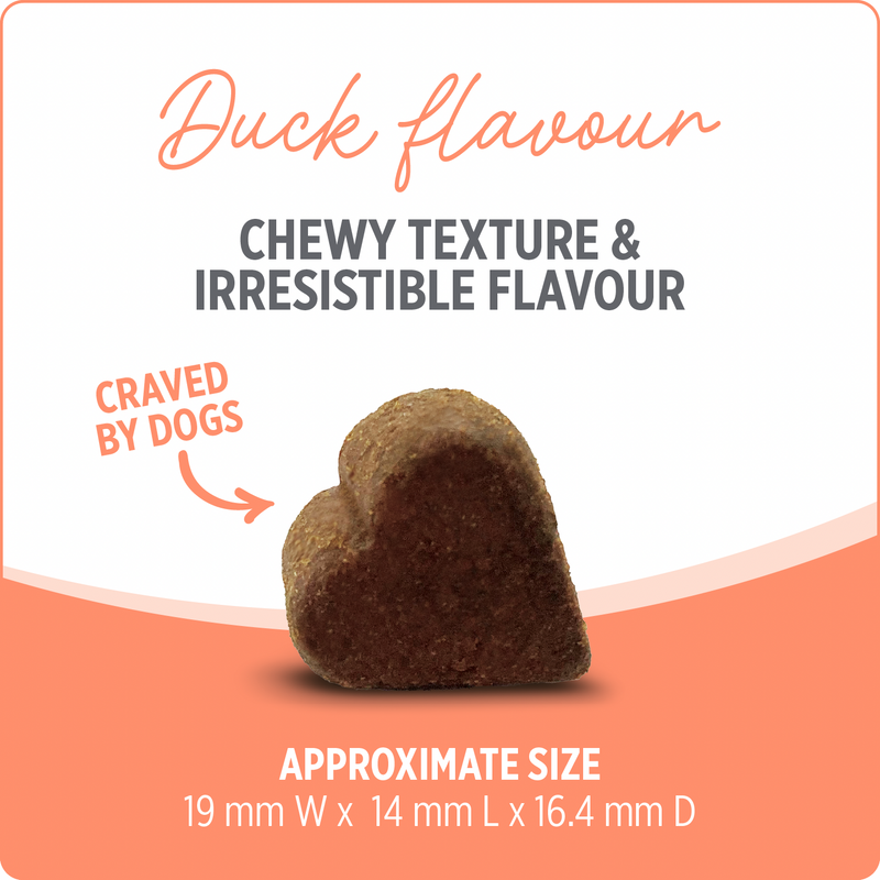 狗狗保健品 - CARE 系列 - 益生菌配方 - 100粒咀嚼片