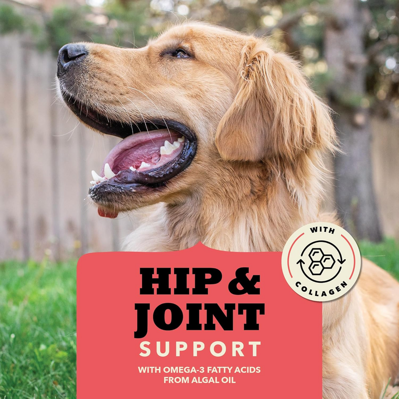 Jerky Dog Treat - CHEWY'S STRIPS - Hip & Joint Support - Beef Recipe - 4 oz