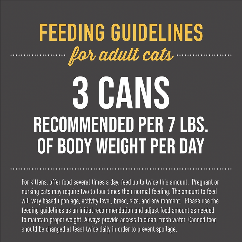 猫罐头 - 黑夜传说 - 鸡肉肉汤配方