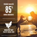 Dry Dog Food - Puppy