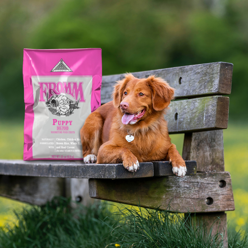 Dry Dog Food - CLASSIC - Puppy