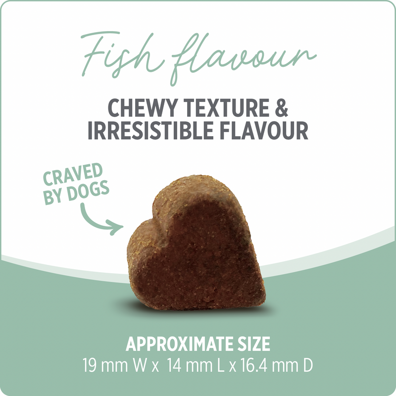 Dog Supplement - CARE - Skin & Coat - 100 chews