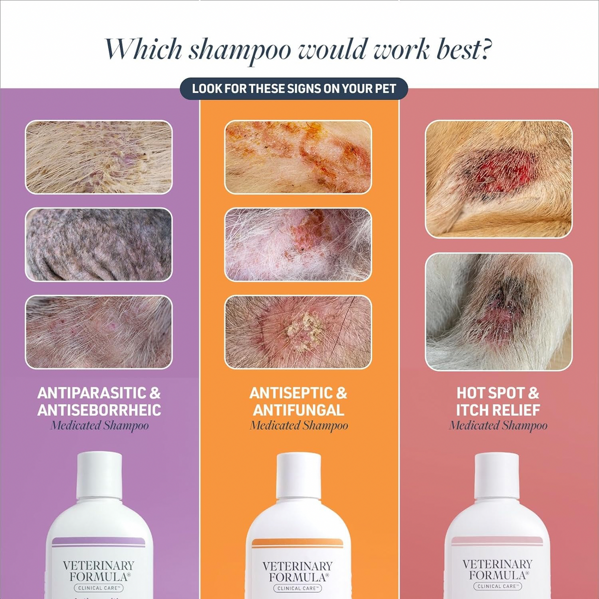 Best Shampoo for Hot Spots on Dogs: Top Soothing Solutions Reviewed