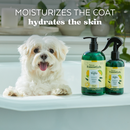 Dog Shampoo - ESSENTIALS - Yuzu Oil Moisturizing - 16 fl oz