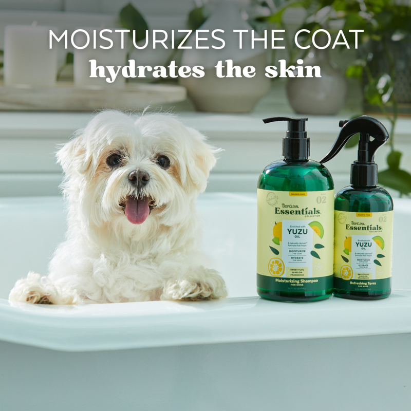 Dog Shampoo - ESSENTIALS - Yuzu Oil Moisturizing - 16 fl oz