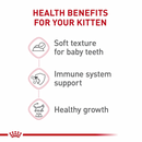 Canned Cat Food - Kitten - Loaf in Sauce