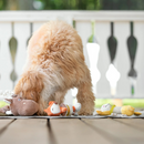 毛绒幼犬玩具 - 小狐狸