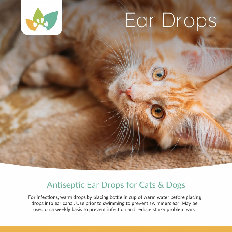 Ear Drops For Dogs & Cats - For Cleaning & Swimming Protection - 10 ml