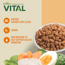 Aliments pour chat cuits - Vital - Recette de poulet sans céréales avec légumes et œufs riches en antioxydants - 1 lb
