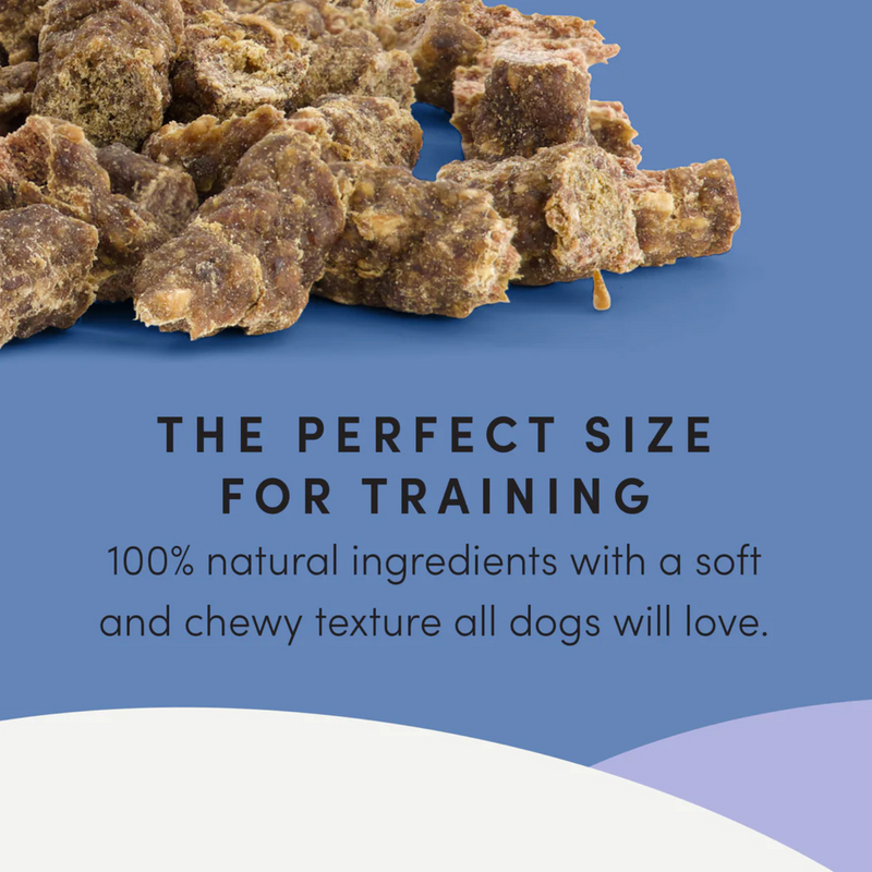 Natural Dog Treat - Semi Moist Beef Mini Trainers