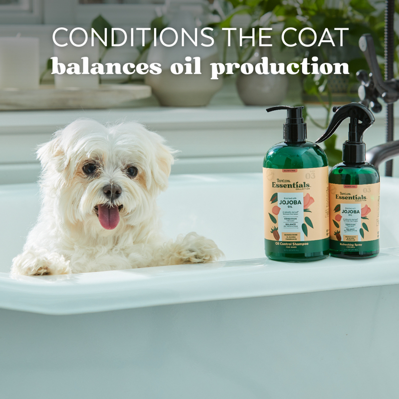 Dog Shampoo - ESSENTIALS - Jojoba Oil Control - 16 fl oz