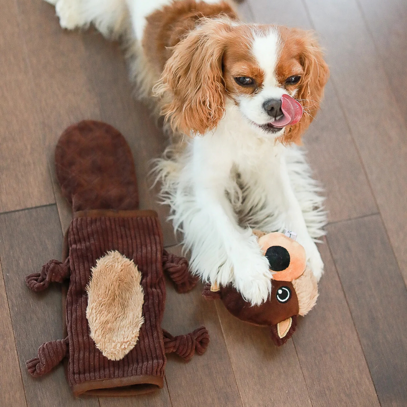 Rebuildable Dog Toy - Bernie The Beaver