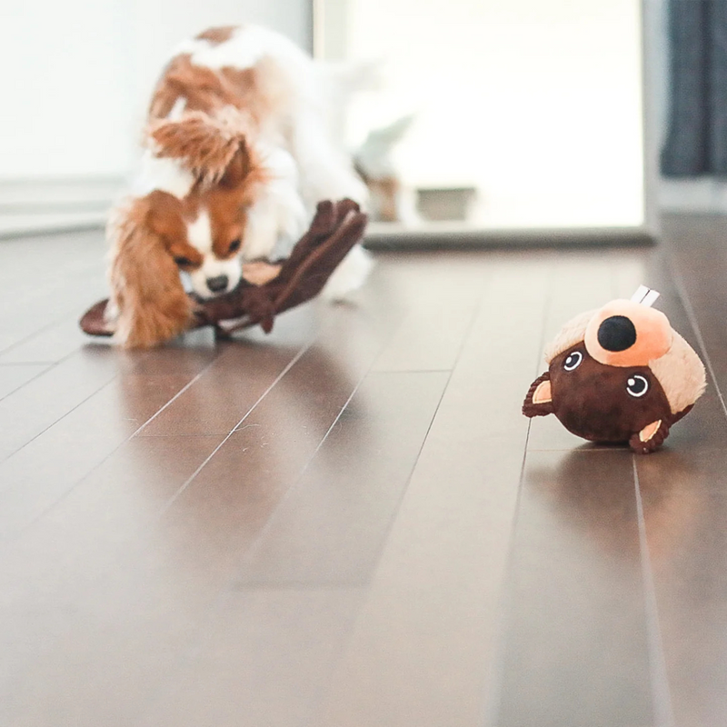 Rebuildable Dog Toy - Bernie The Beaver