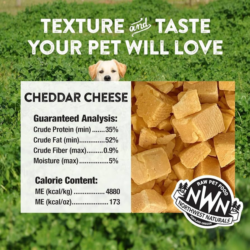 Freeze Dried Treat for Dogs & Cats - RAW REWARDS - Cheddar Cheese - 6 oz