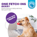 狗狗漏食玩具 - 草莓