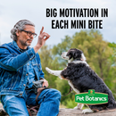 Soft & Chewy Dog Treat - TRAINING REWARDS - Bacon Flavor