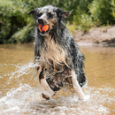 狗玩具 - Ultra Ball - 大号