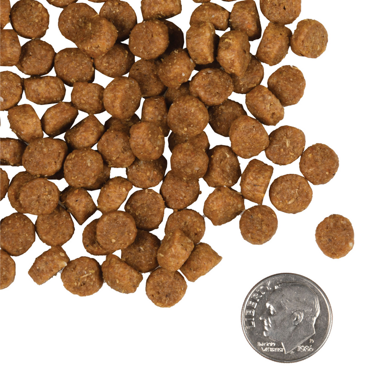 Dry Dog Food - GOLD - Puppy