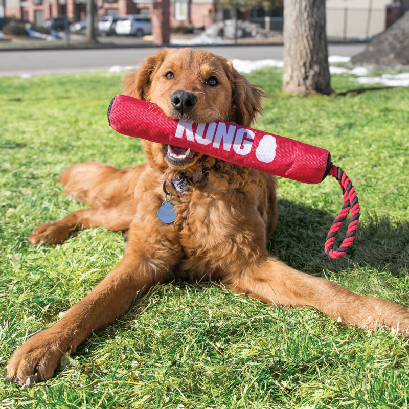 Interactive Dog Toy - Signature Stick with Rope