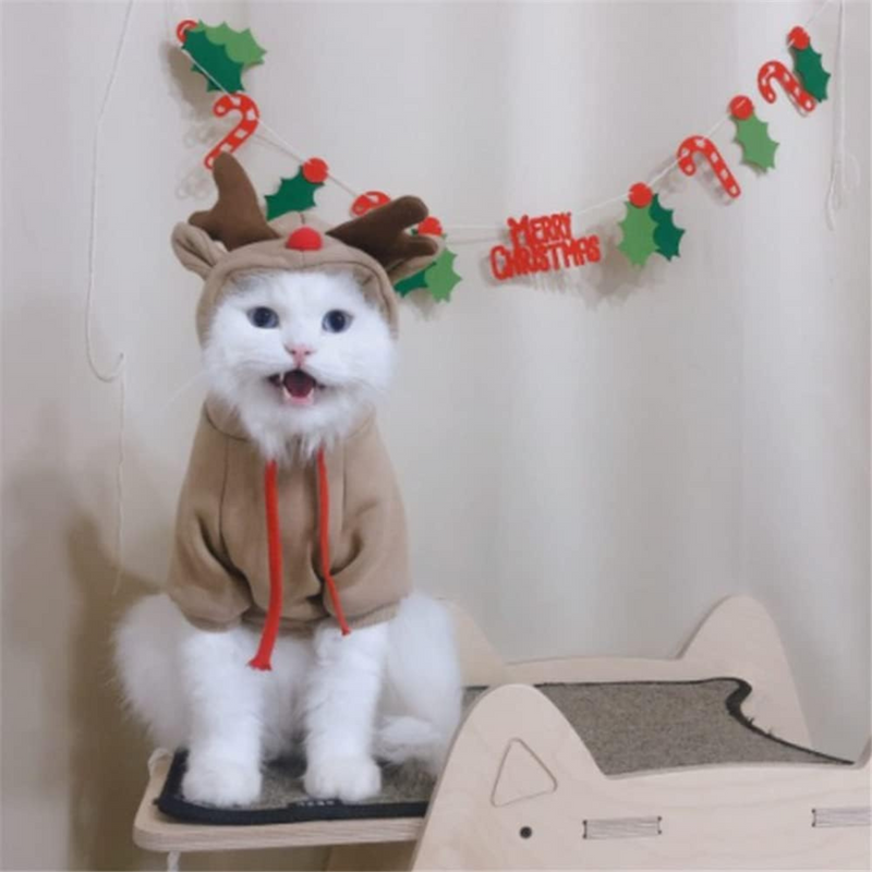 Pet Costume - Cute Hoodies