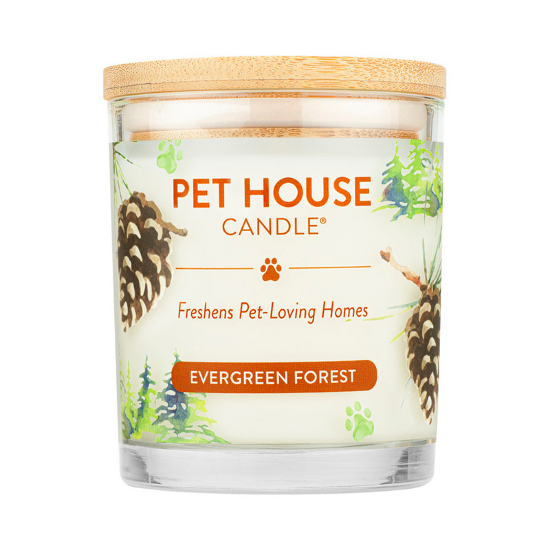 Pet House - Bougie de cire de soja 100% naturelle - Forêt à feuilles persistantes - Grande 8,5 oz