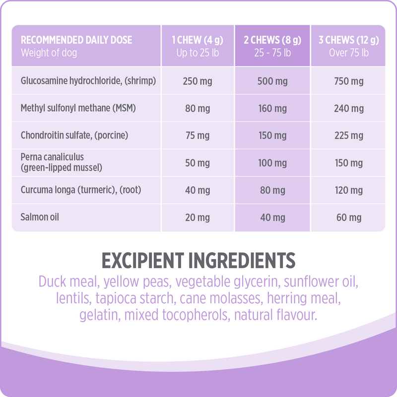 Dog Supplement - CARE - Hip & Joint - 100 chews