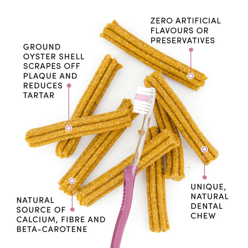 Natural Dental Dog Treat - Plaque Busters Original Dental Sticks