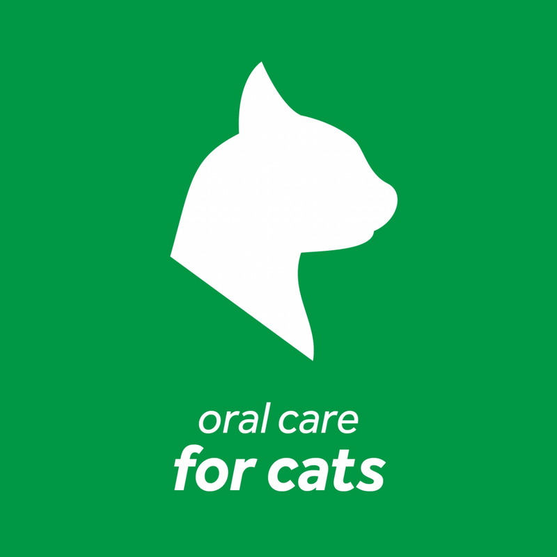 Cat Dental Health - FRESH BREATH - Oral Care Kit