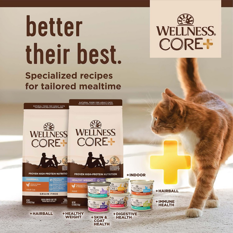 Dry Cat Food - CORE+, Grain Free Chicken & Turkey - INDOOR Adult