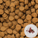 Dry Dog Food - Grain Free Duck - All Life Stages