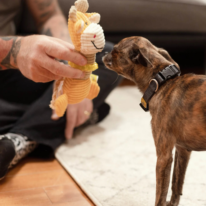 Puppy Toy with Teething Ring - Baby Giraffe