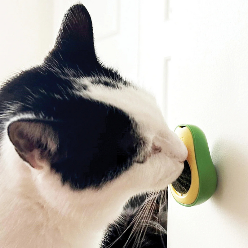 Catnip Avocado Cat Toy