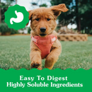 Dog Dental Treat - Puppy PETITE